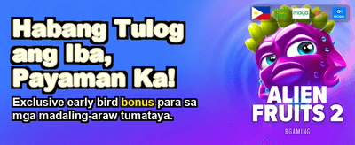 Premium Casino Gaming Experience